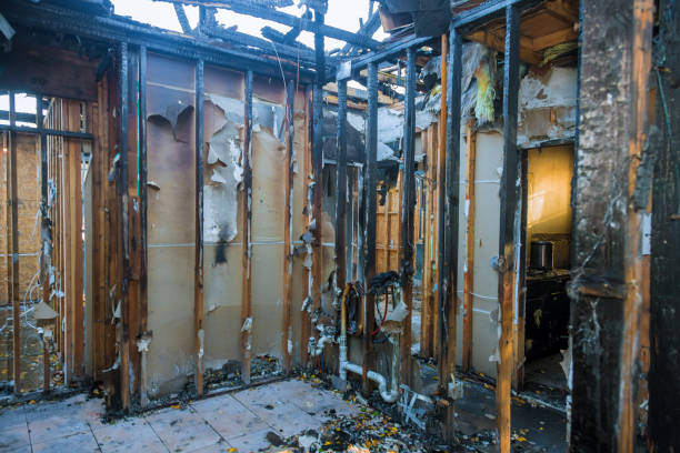 Professional Smoke Damage Removal technician working in St. Paul, TX
